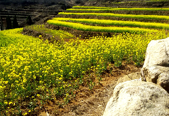农业农村部举办2021中国美丽乡村休闲旅游行（夏季）推介活动