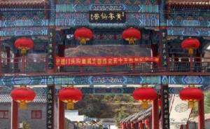 黄芩仙谷