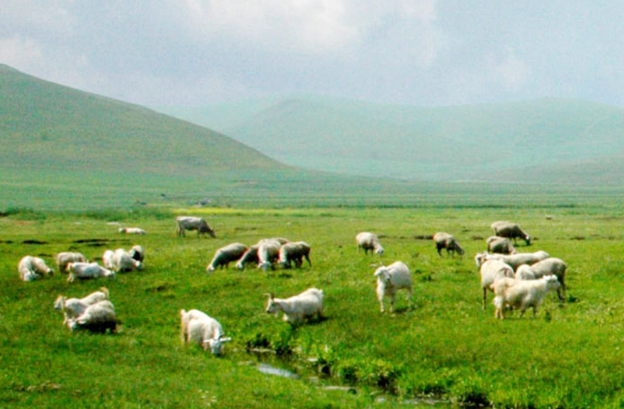 农旅中国行：图说内蒙古